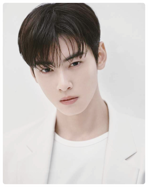  차은우 200억 탈세 충격 바른 이미지의 배신? 엄마 회사와 군대 도피설의 전말