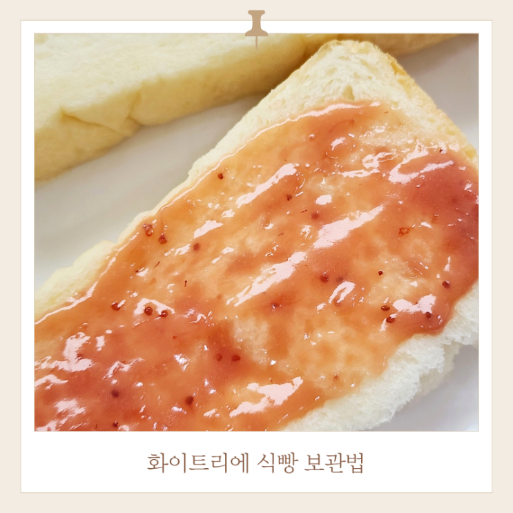  화이트리에 식빵 보관법 가격 내돈내산 후기