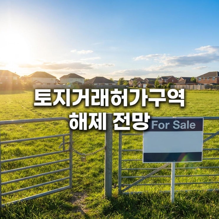  토지거래허가구역 해제 전망 강남·목동 갭투자 뚫는 유일한 구멍? (2026년 최신 분석 & 경매 꿀팁)
