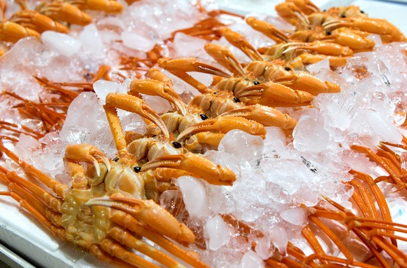 겨울철 제철 해산물 ‘홍게’가 가장 맛있어지는 시기 분석