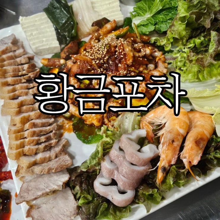  창원중앙동술집 굴보쌈 맛집 '황금포차' 해산물 안주 좋아하면 꼭 가볼 만한 곳