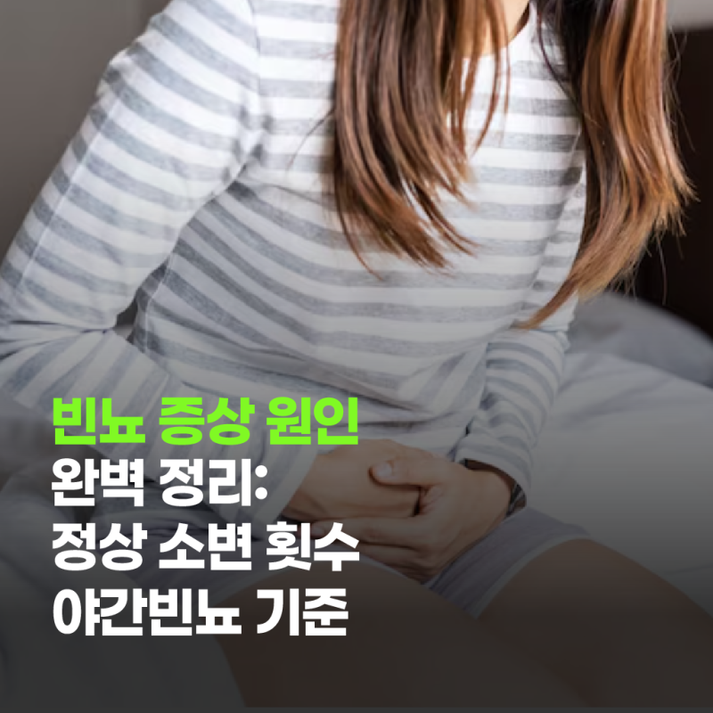 빈뇨 증상 원인 완벽 정리: 정상 소변 횟수·야간빈뇨 기준