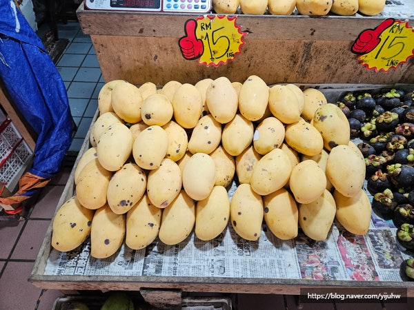 코타키나발루 중앙시장 과일가격 방문후기