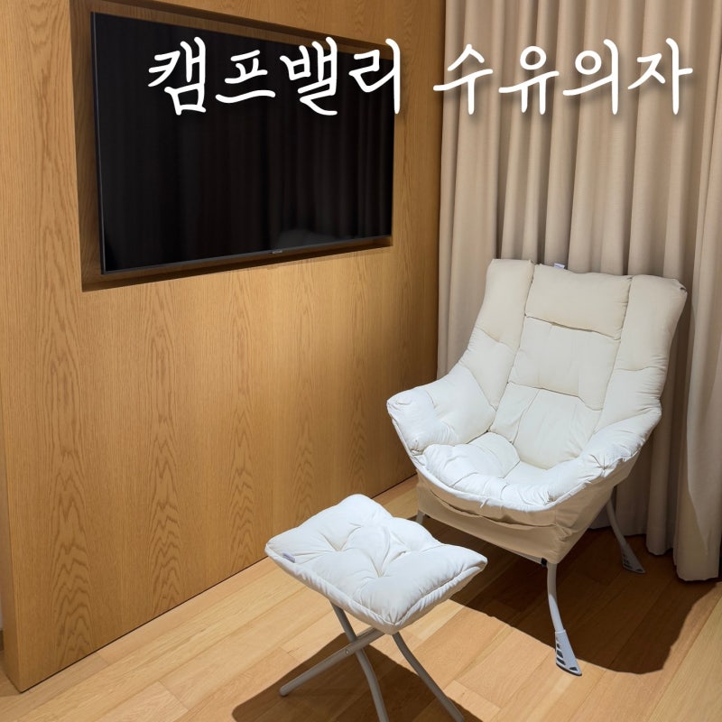 캠프밸리 수유의자 커버 분해 세탁 방법 및 추천