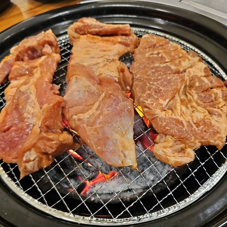 황금부엉이 사진 2