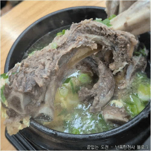 제주 전농로 벚꽃축제 근처 도민 맛집 소도리왕뼈다귀