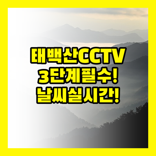 태백산 등산객 필수! 고산 날씨 CCTV 실시간 확인법 3단계