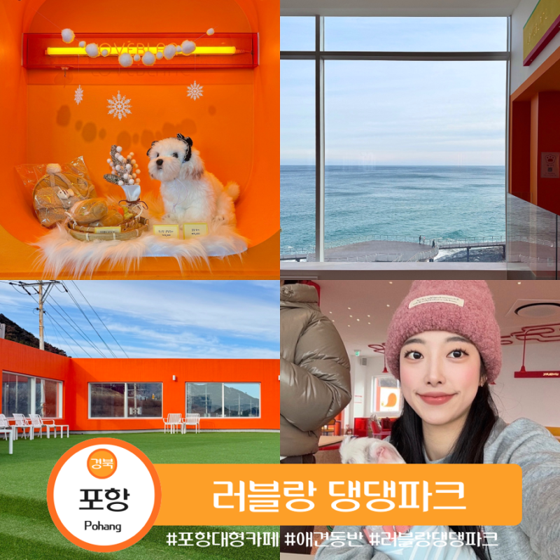 사진 7