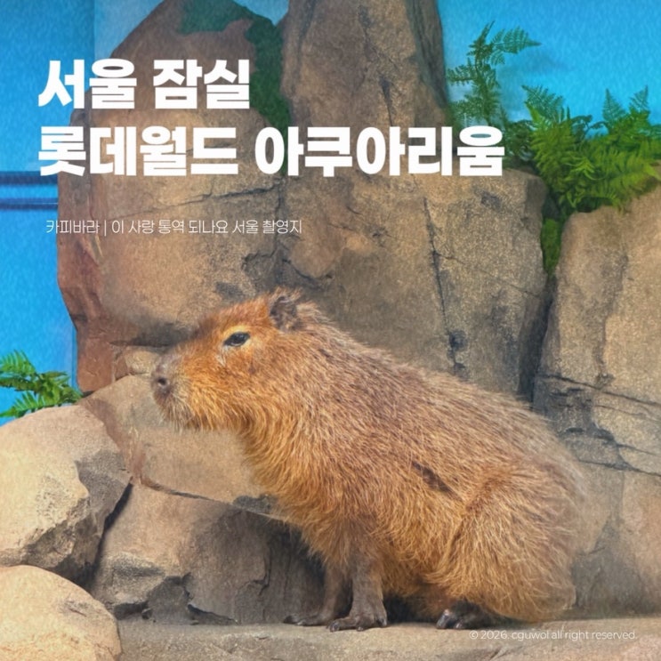  서울 잠실 롯데월드 아쿠아리움 카피바라 | 이 사랑 통역 되나요 서울 촬영지