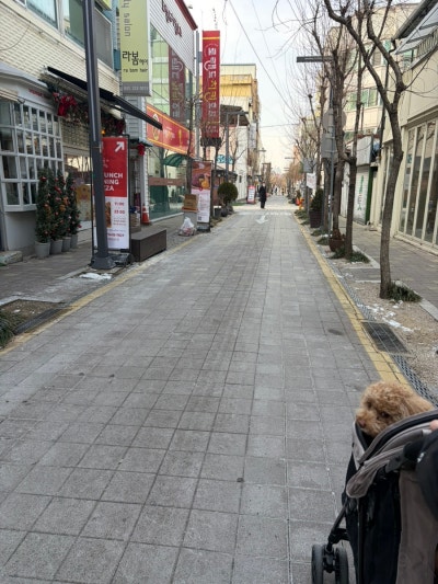 사진 3