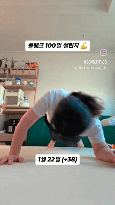 플랭크 100일 챌린지 중간 기록 | DAY 1 → DAY 38, 산후 운동 변화