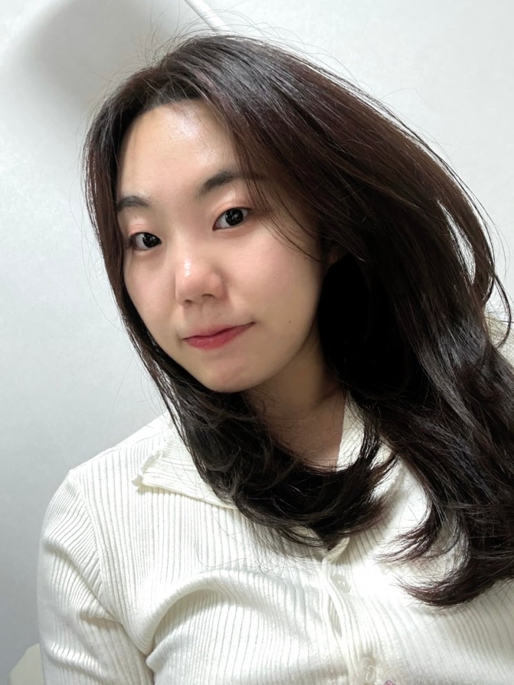  제주 엘시크헤어, 여성 레이어드컷 염색 잘하는 곳