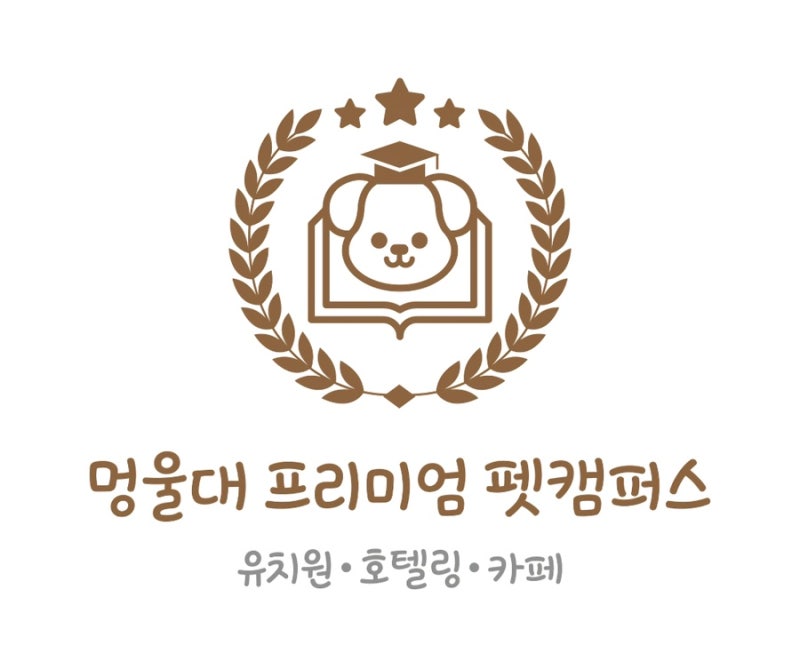 사진 7
