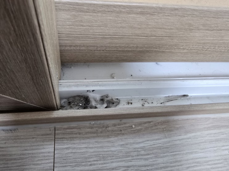  부산이사청소잘하는곳 구석구석 세심한 작업 후기