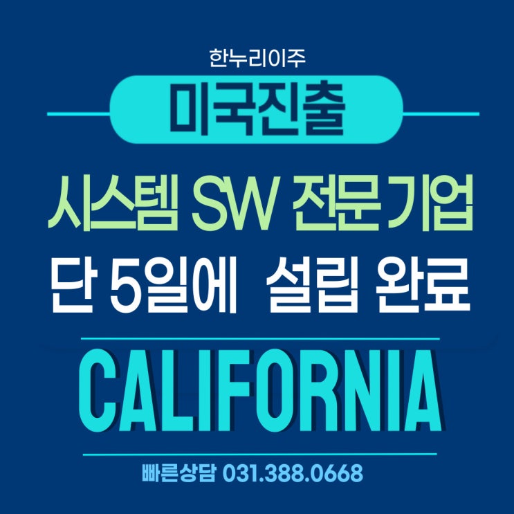  시스템 소프트웨어 기업의 캘리포니아 미국법인설립 5일 완성