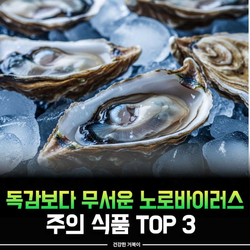 무심코 먹은 "이것"이 원인? 노로바이러스 유행 시기 주의식품 TOP 3