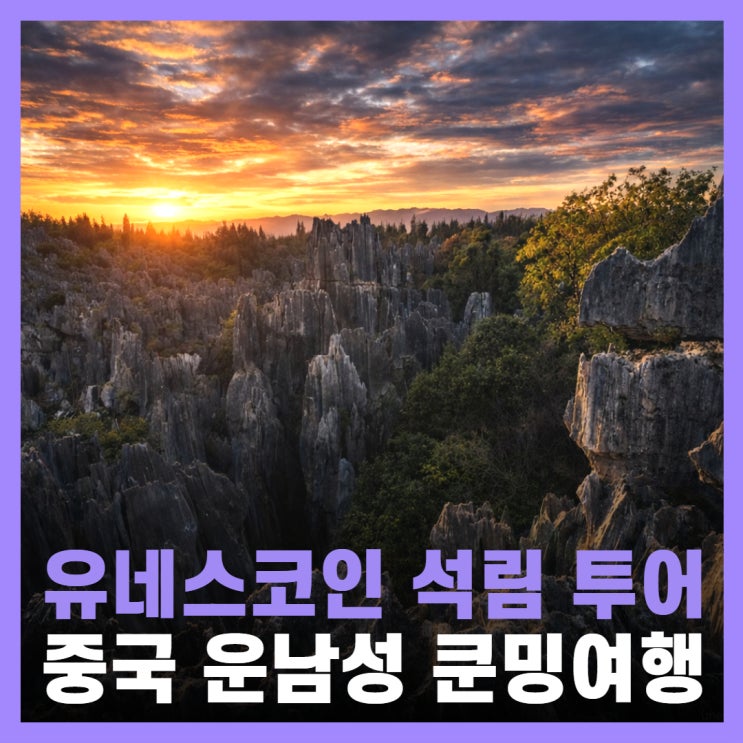  중국 여행지 추천 운남성 쿤밍 관광지 석림 투어