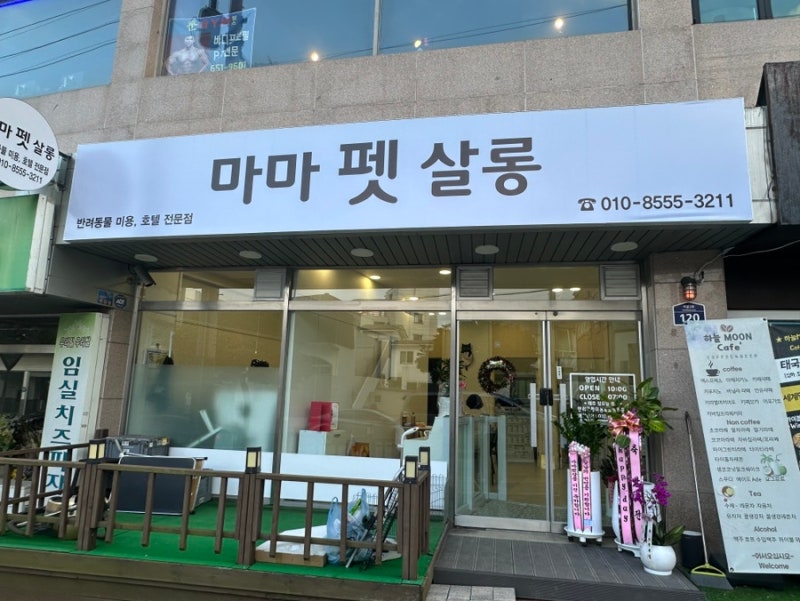 사진 2