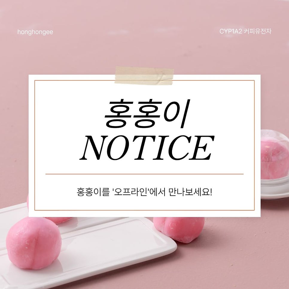 홍홍이 사진 1