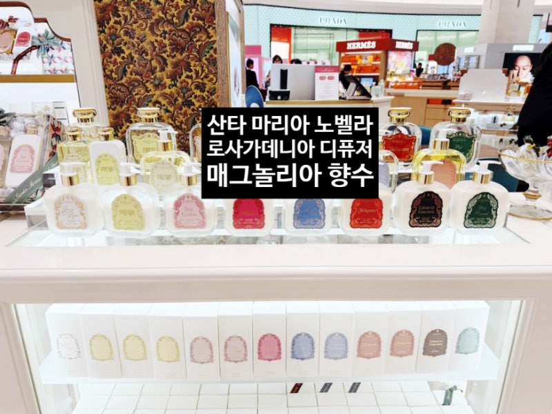 산타마리아노벨라/로사가데니아, 오세아니아 디퓨저/매그놀리아 향수 추천