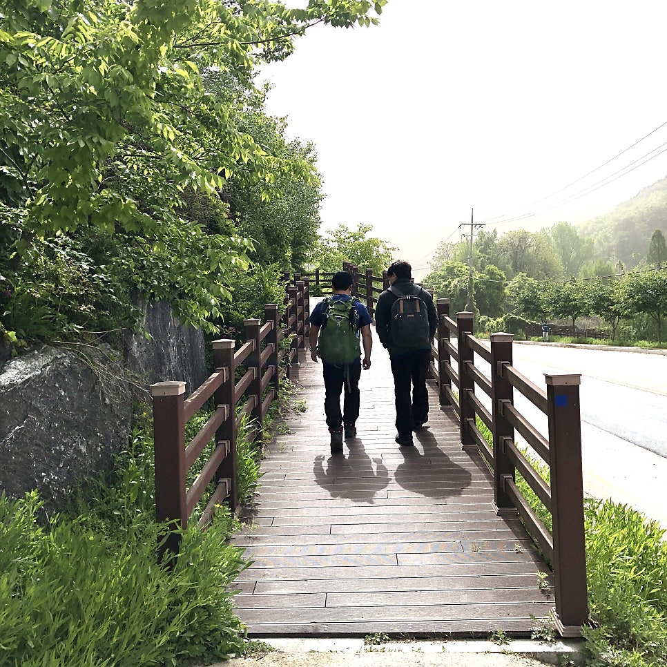 하계산 사진 5