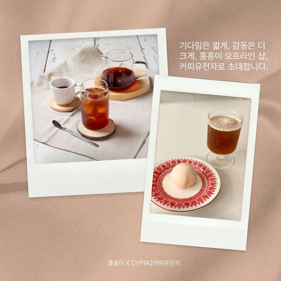 홍홍이 사진 2