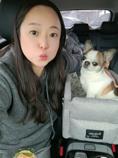 사진 2