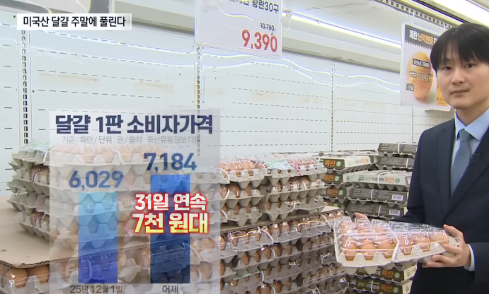   미국산 계란 6천 원대 등장, 과연 사도 될까? (가격, 신선도, 판매처 총정리)