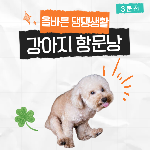 강아지 항문낭 주기 관리 짜기 방법