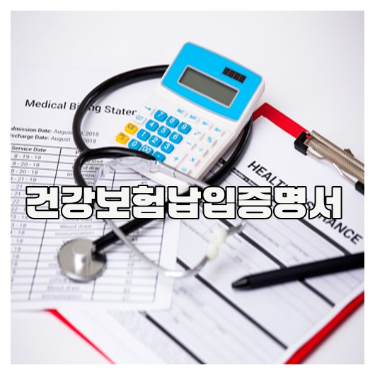 건강보험납입증명서 완전정리 가이드