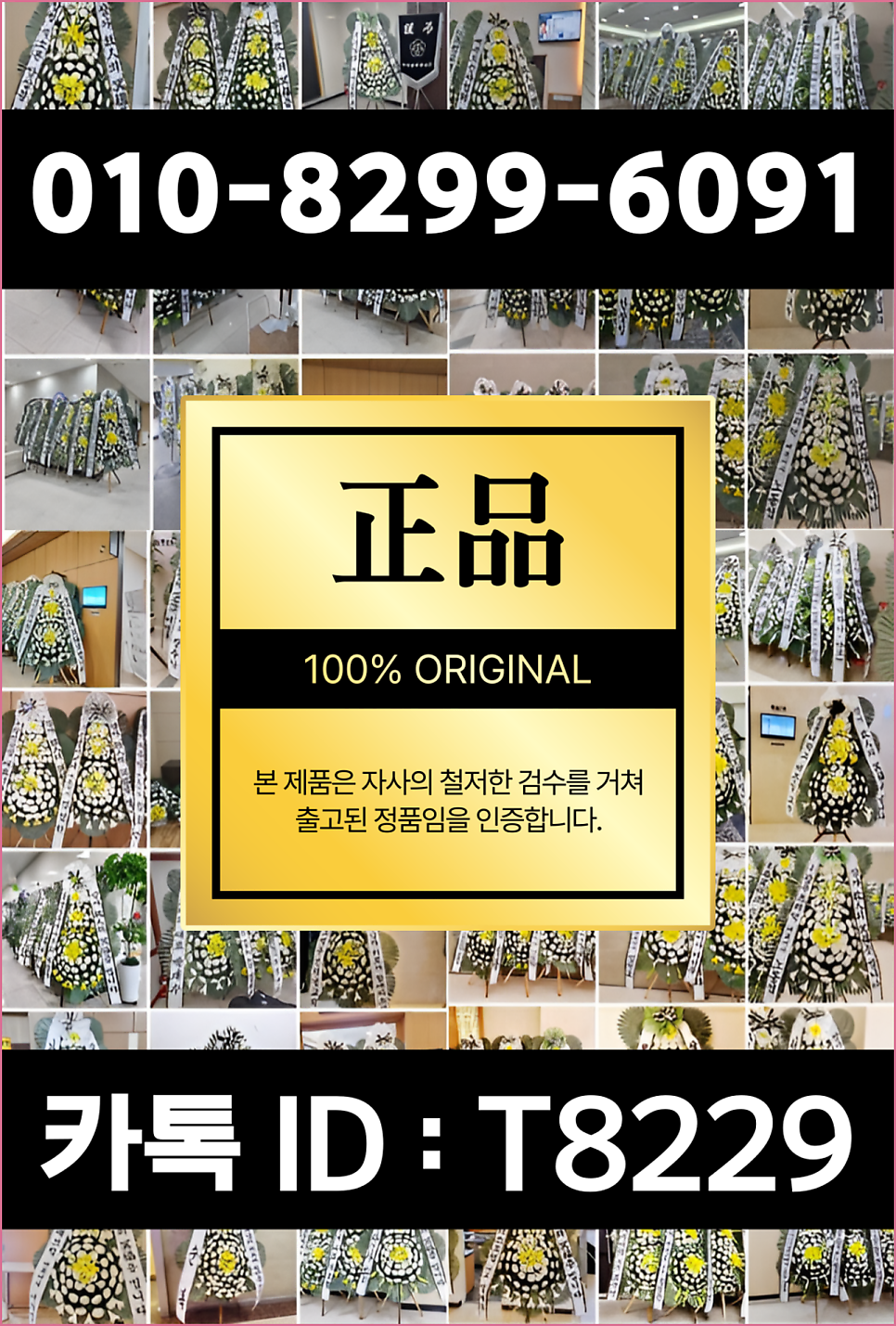 한국효려 사진 4