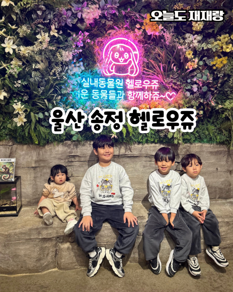 울산 송정 실내 동물원｜요즘 핫플 헬로우쥬, 아이와 함께 가볼만한 곳