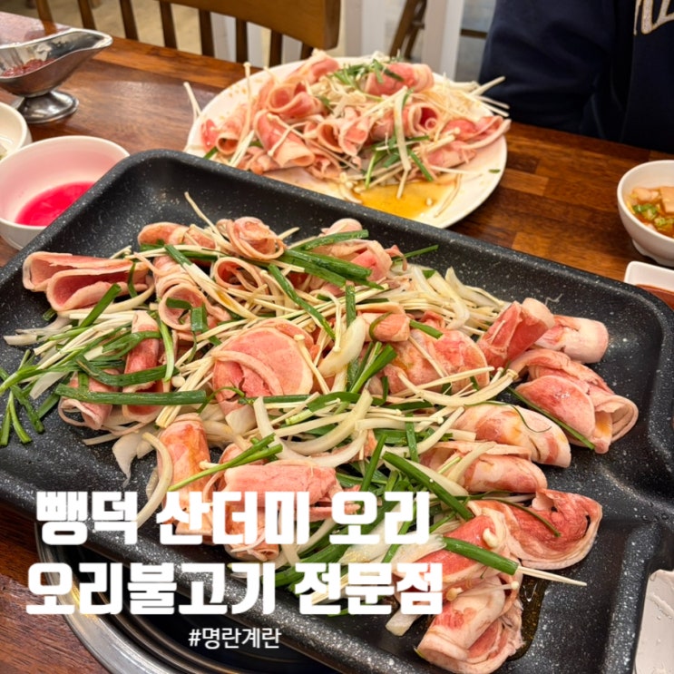  뺑덕 산더미 오리 :: 반곡 아이파크 맛집 야채 무한으로 즐기세요!!