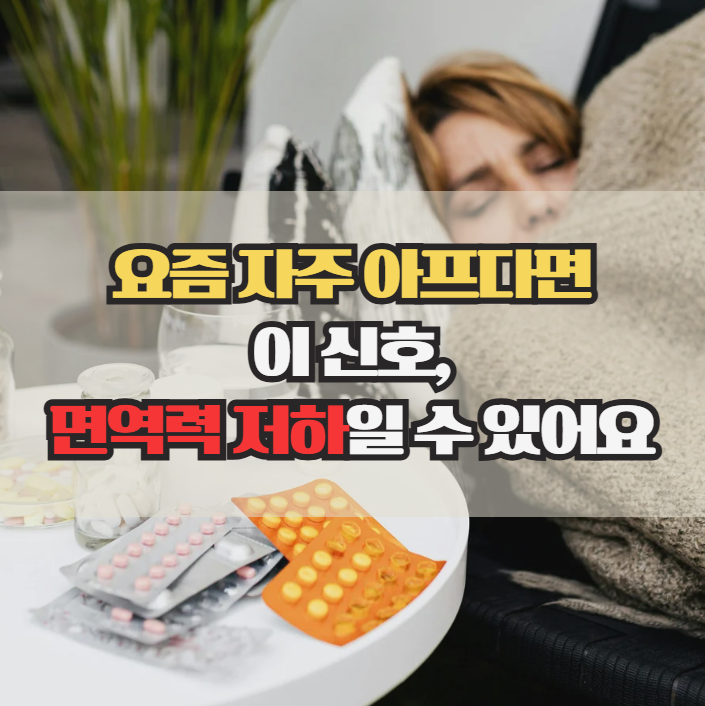  면역력 저하 증상, 몸이 보내는 경고 신호 7가지