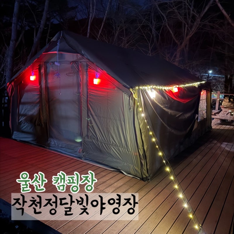 사진 5