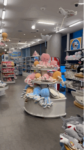 일산아기랑실내: 아쿠아플라넷 일산점 연간회원권 뽕 뽑는 22개월 아기랑 방문후기