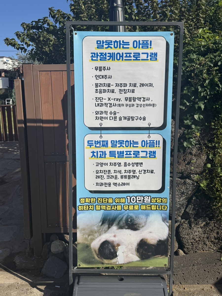 AVC반려동물메디컬센터 사진 5