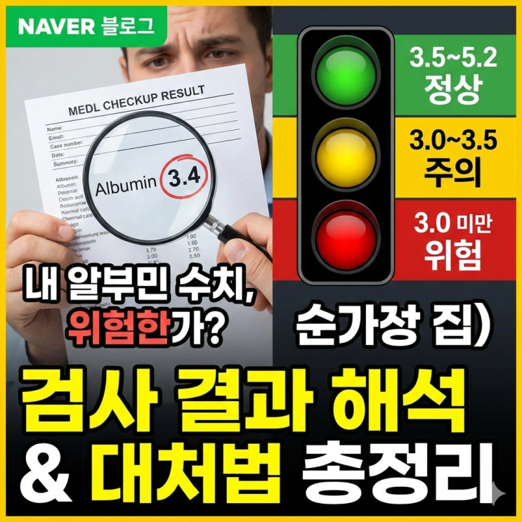 알부민 수치 정상 범위와 검사 해석법 (3.5 이하면 위험할까?)