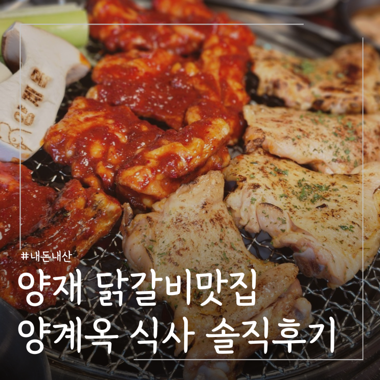  양재 닭갈비 내돈내산 맛집 추천 양계옥 주차 식사 솔직후기