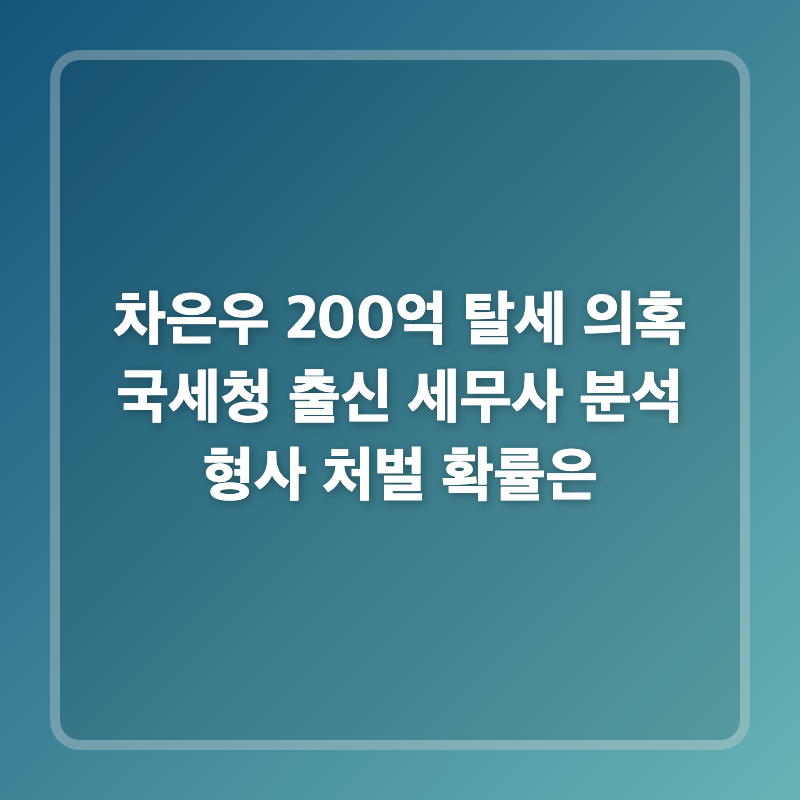 차은우 200억 탈세 의혹 국세청 출신 세무사 분석 형사 처벌 확률은