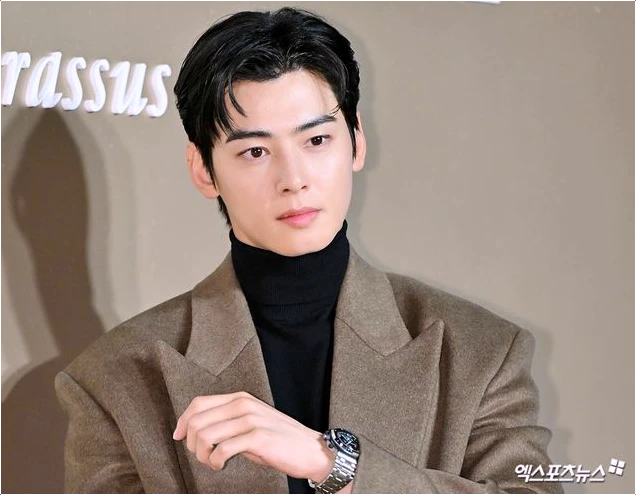  차은우 200억 추징 통보! 뉴진스 로펌 세종 선임설의 진실