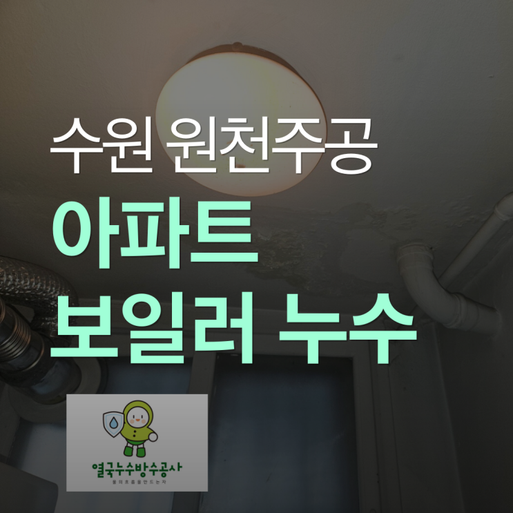  수원 보일러 누수 원천동 주공아파트 천장 페인트 도배지 몰딩 피해 발생