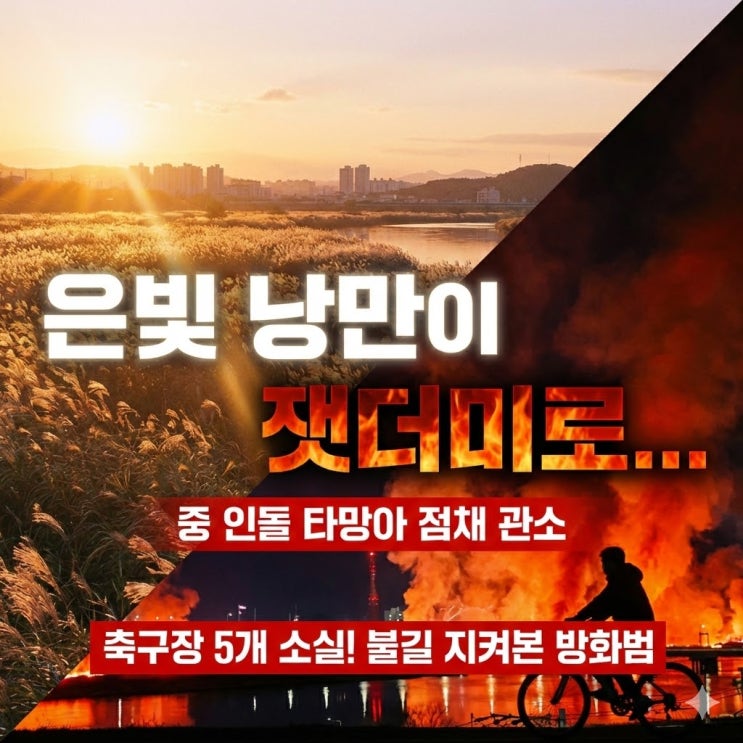  울산 태화강 억새밭 방화 사건 총정리: 불타는 억새밭 지켜보며 유유히...