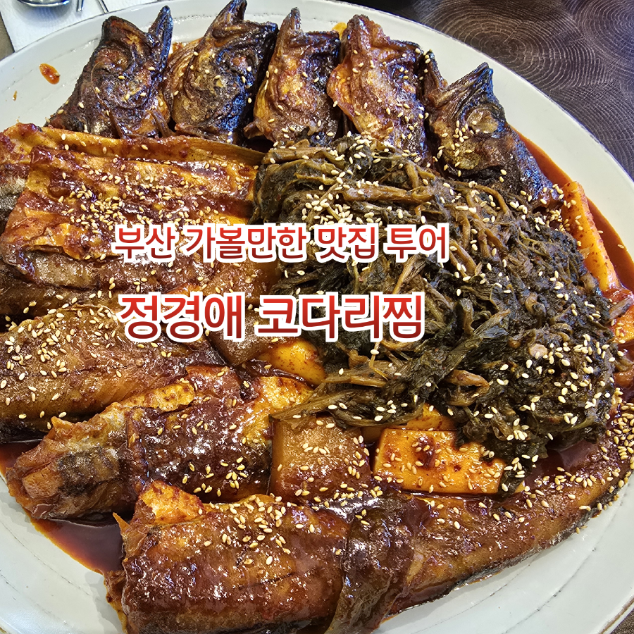 정경애 코다리 초읍점 사진 1