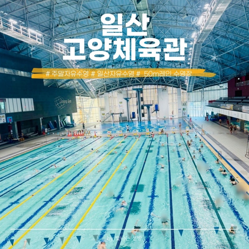 고양체육관 수영장 주말자유수영 50m 레인 첫 도전 시간표 주차 꿀팁