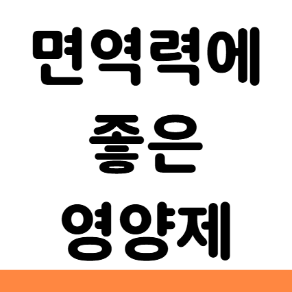  면역력에 좋은 영양제 오메가3 비타민D