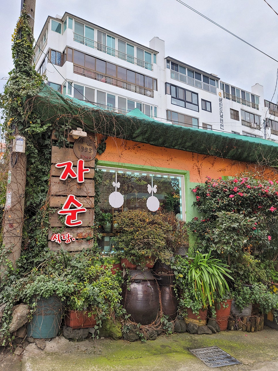자순식당 사진 4