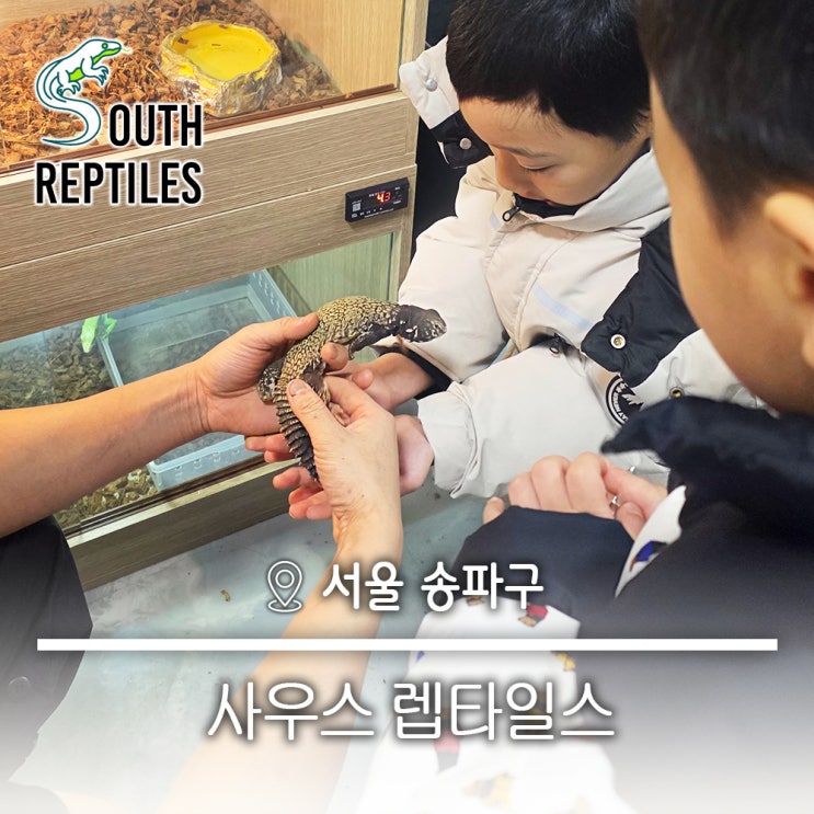 희귀 반려동물 비바리움 주문 제작 서울파충류샵 사우스 렙타일스