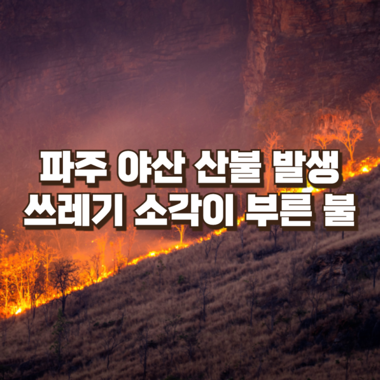  파주 야산 산불 발생…쓰레기 소각이 부른 작은 불, 큰 위험