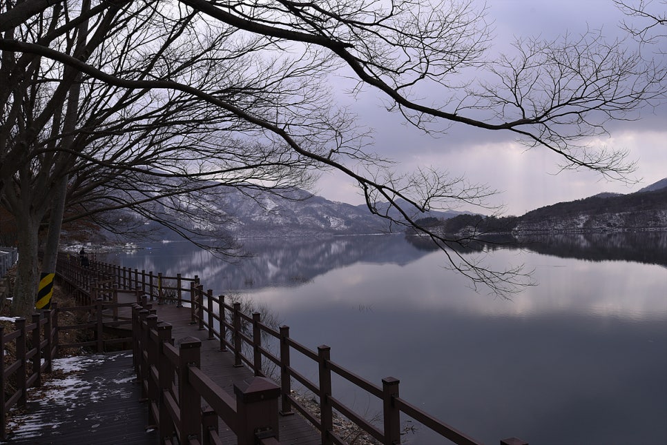 임권택시네마테크 사진 1